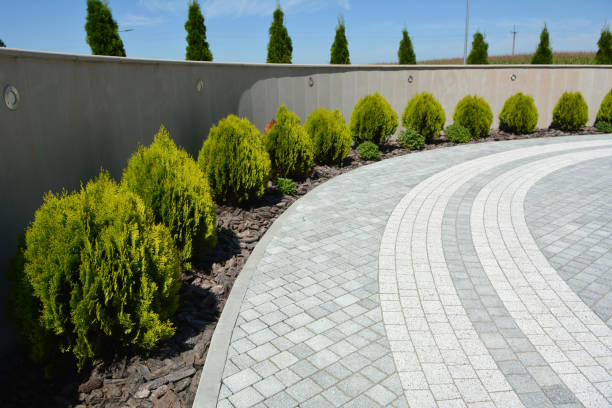 Best Local Driveway Pavers  in Fort Myers Shores, FL